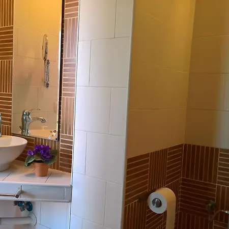 Loft Con Terraza Y Barbacoa Appartement *