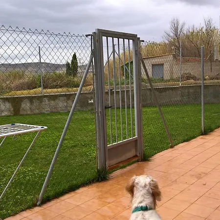 Appartement Loft Con Terraza Y Barbacoa *